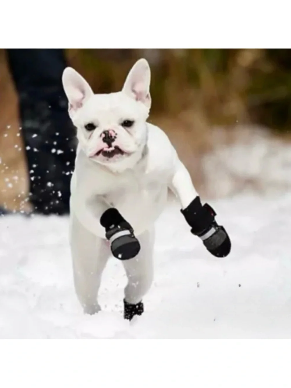 Muttluks Waterproof Fleece Lined Dog Boots XXS Set of 4 – NEW